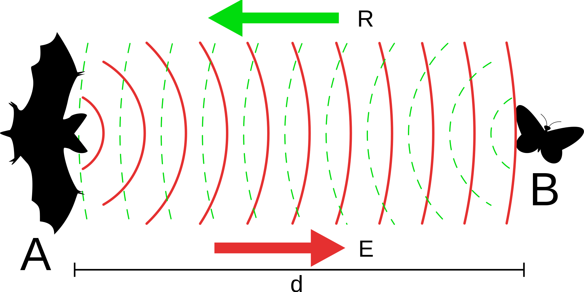Clipart bat bat echolocation, Clipart bat bat echolocation Transparent