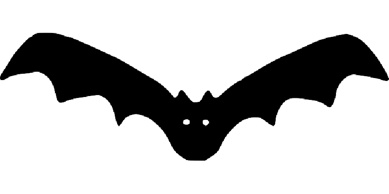 clipart bat black and white