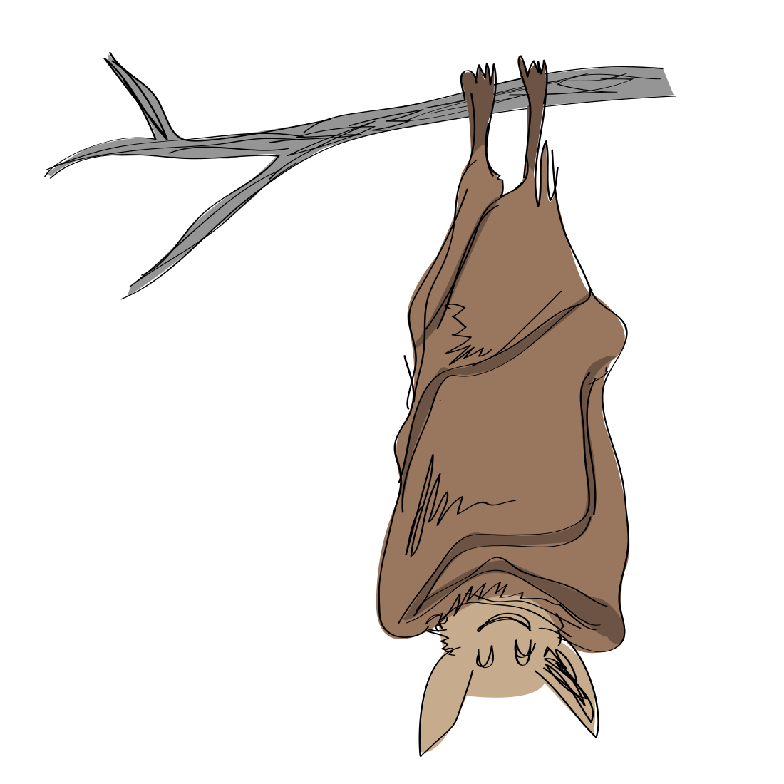clipart bat blind