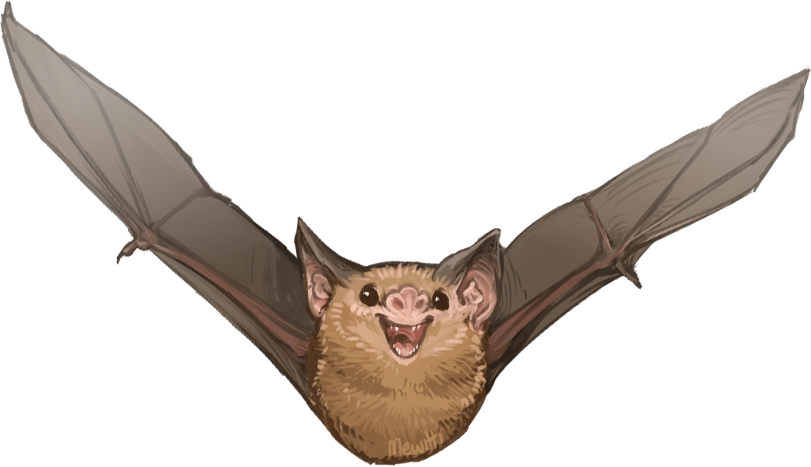 clipart bat bumblebee bat