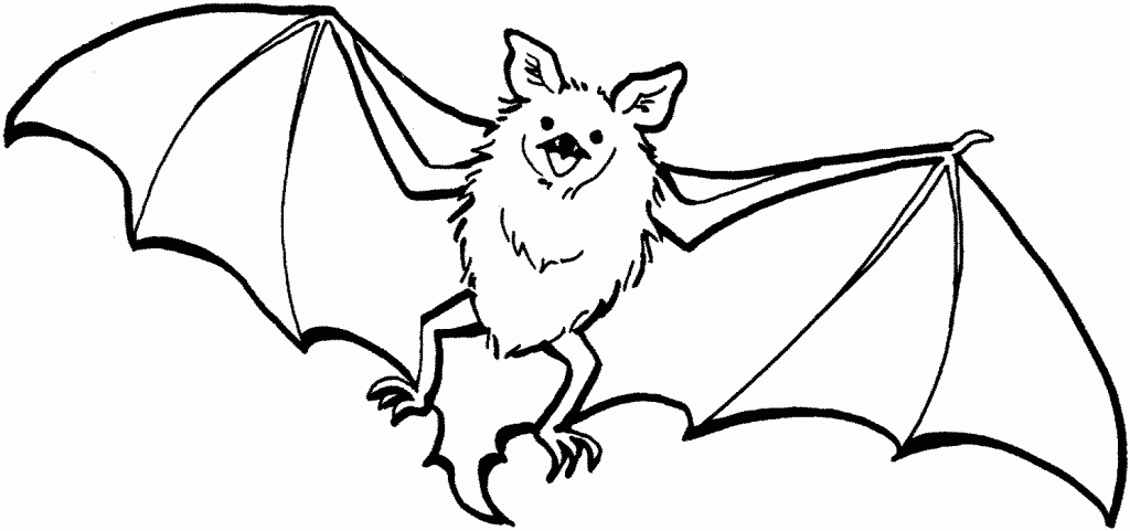 Clipart bat coloring page. Free printable pages for