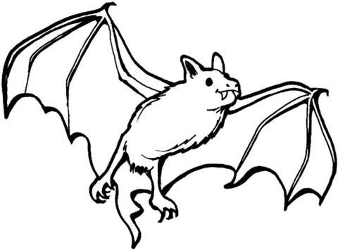 Vampire free printable pages. Clipart bat coloring page
