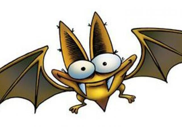 Free download clip art. Clipart bat crazy