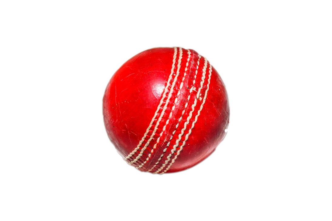 cricket clipart transparent background