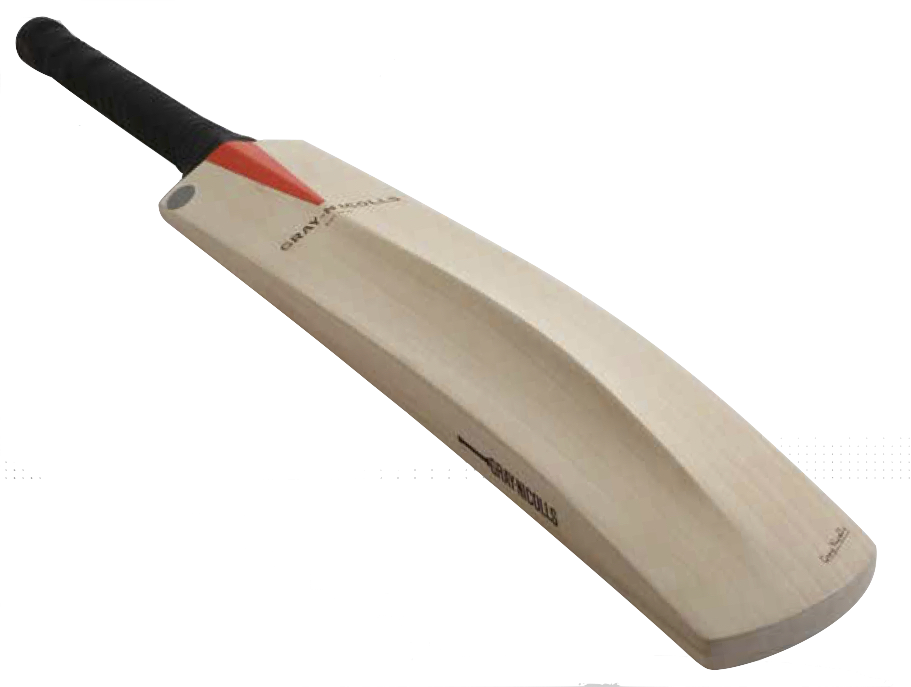 Bat cricket bat