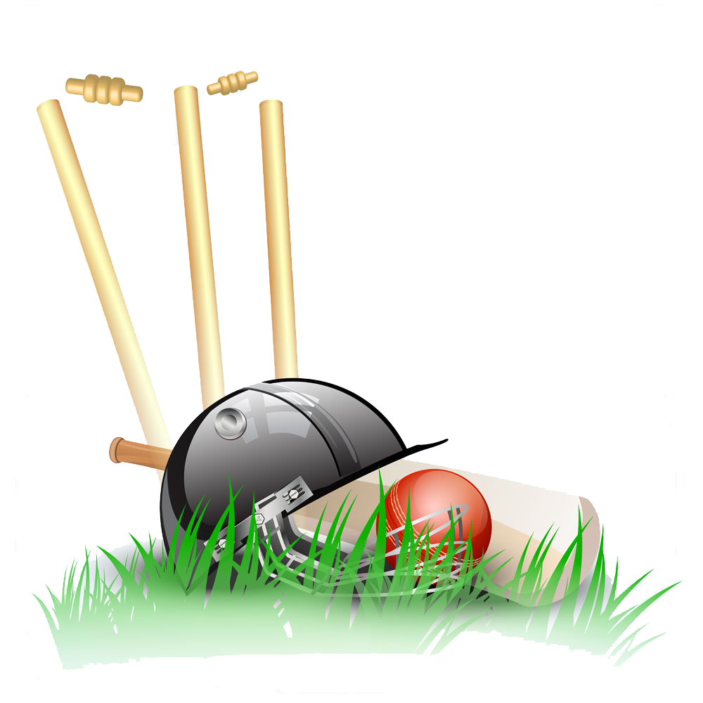 cricket clipart cricket team