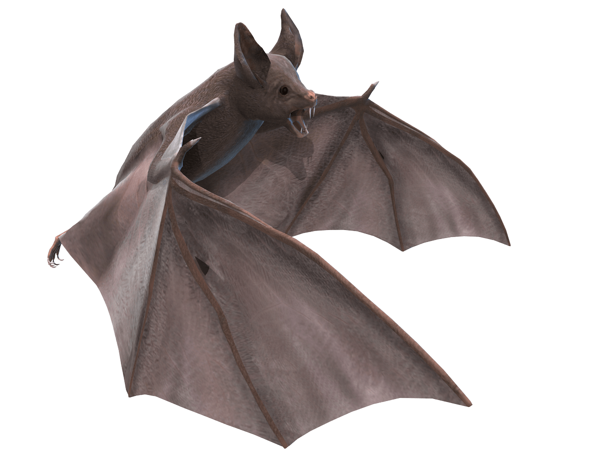 D illustration transparent png. Clipart bat grey