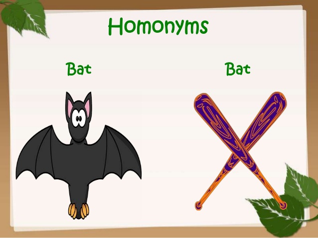 clipart bat homonyms