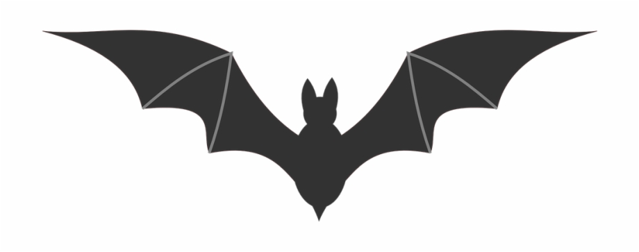 clipart bat horror