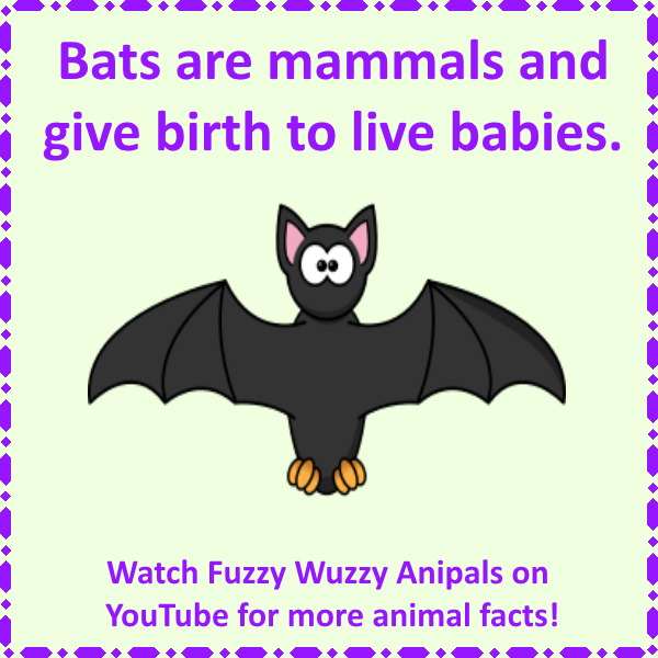 clipart bat mammal