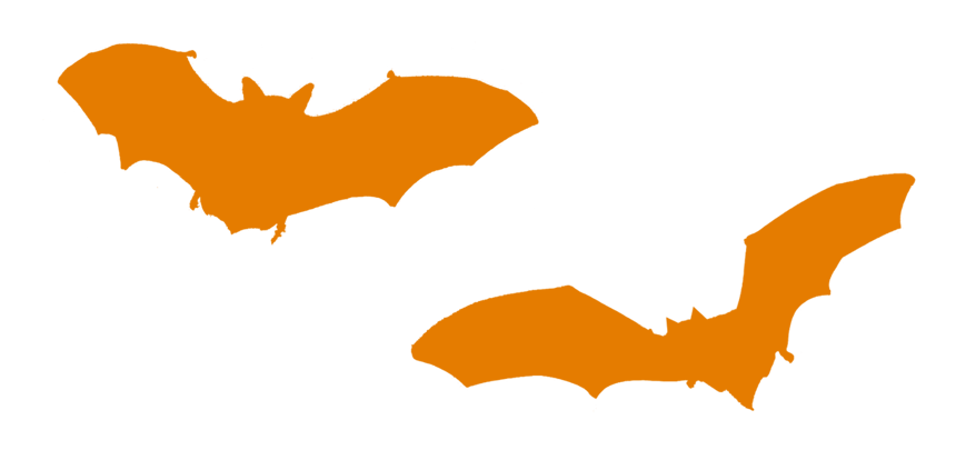 Bat orange