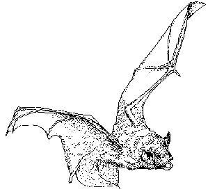 Clipart bat public domain. Halloween clip art photos