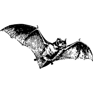 clipart bat public domain