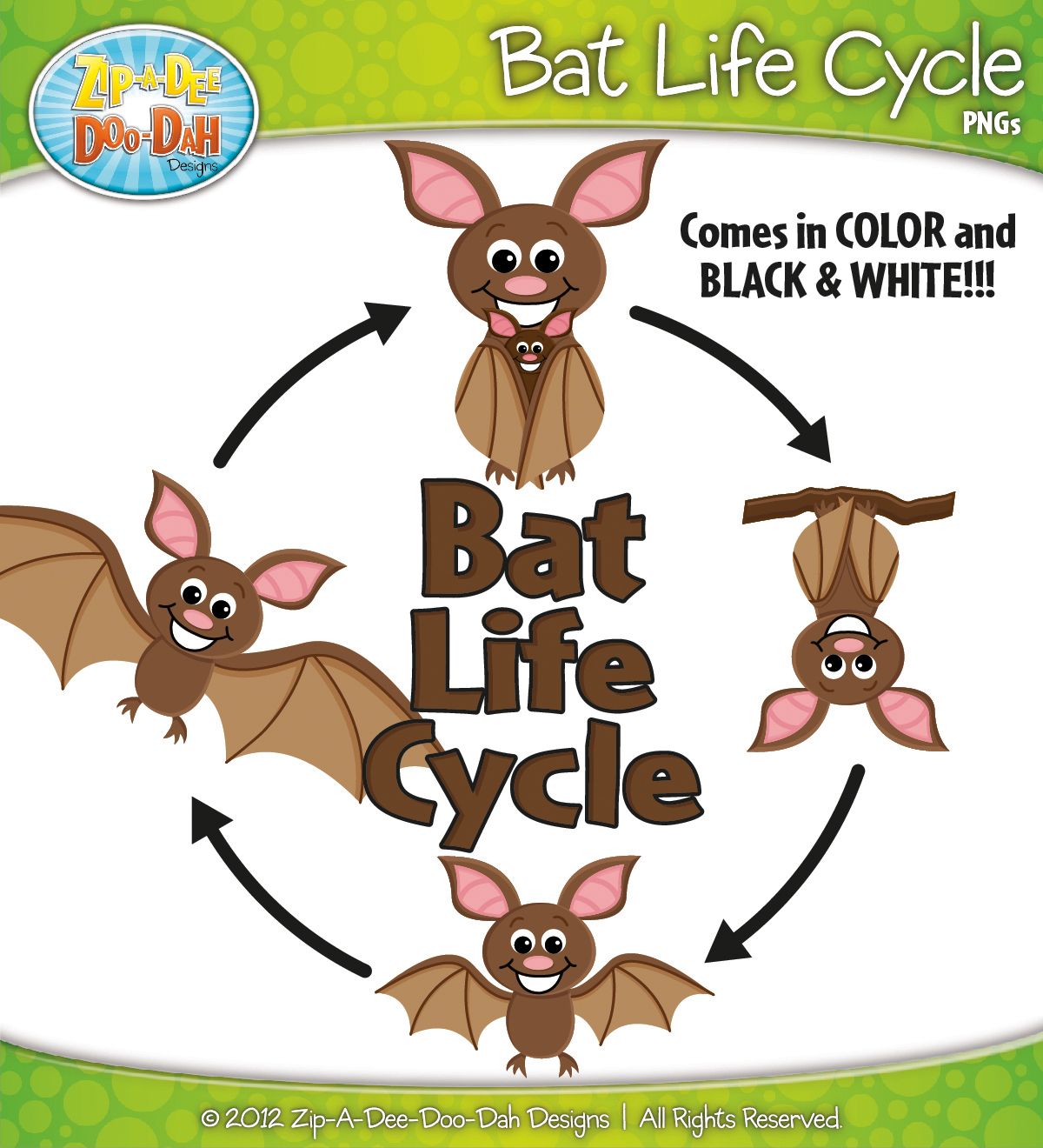 clipart bat real life