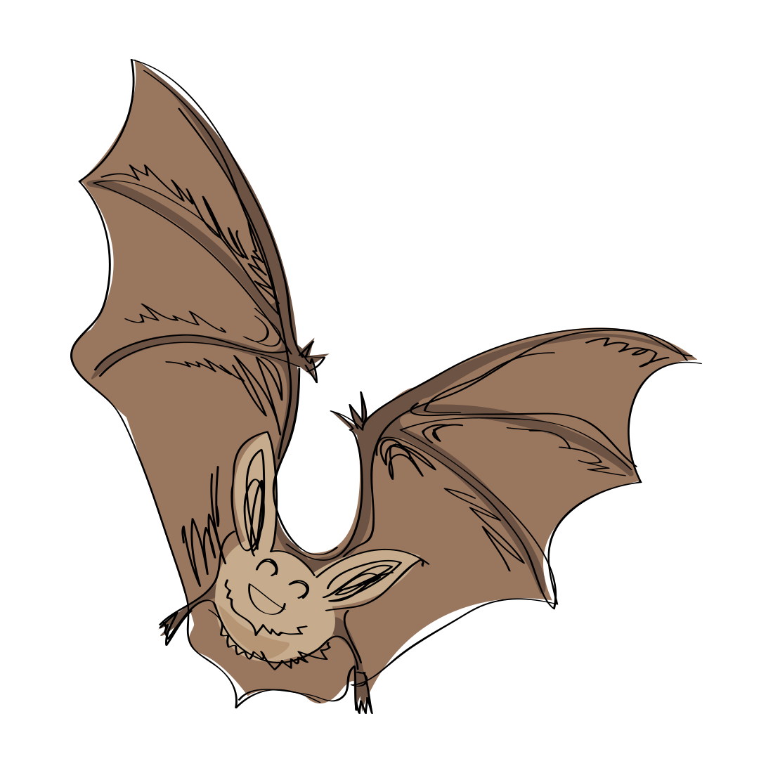 clipart bat real life