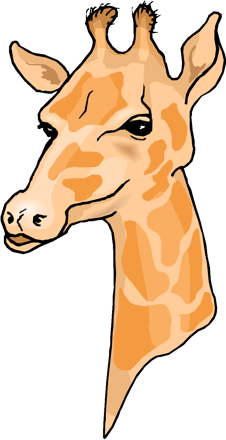 Gold clipart giraffe. Realistic animal at getdrawings
