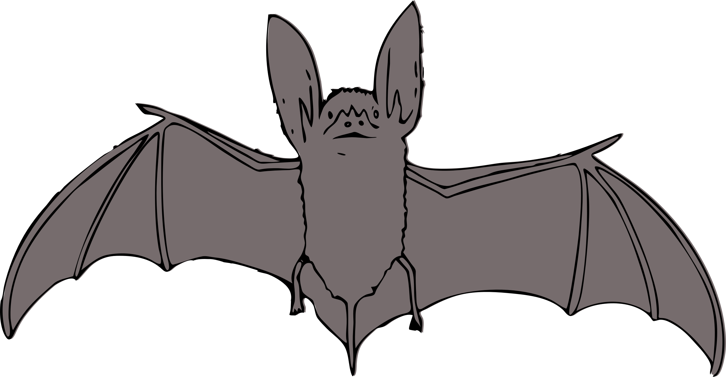 clipart bat realistic