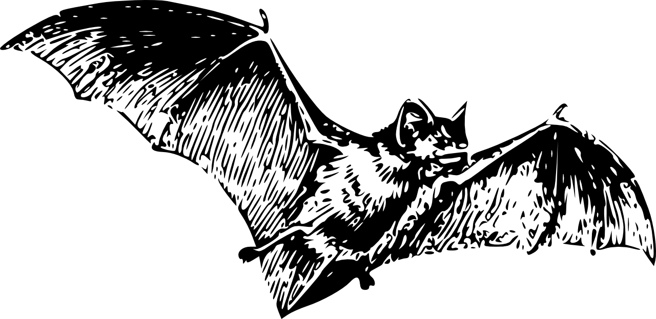 clipart bat tattoo