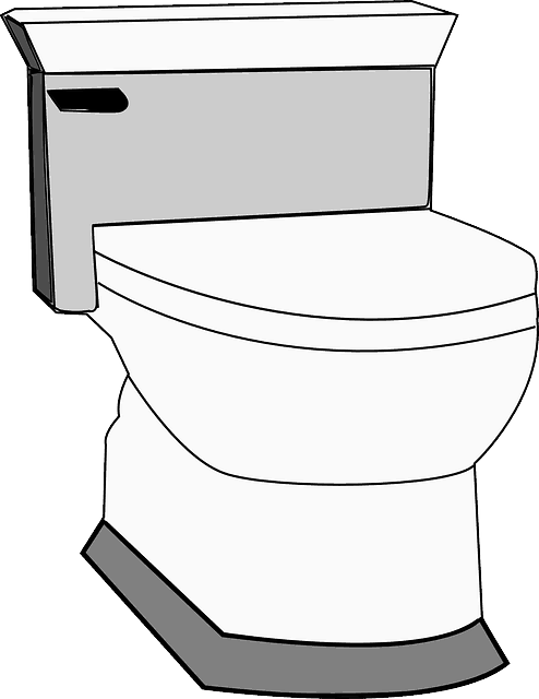 clipart bathroom toilet routine