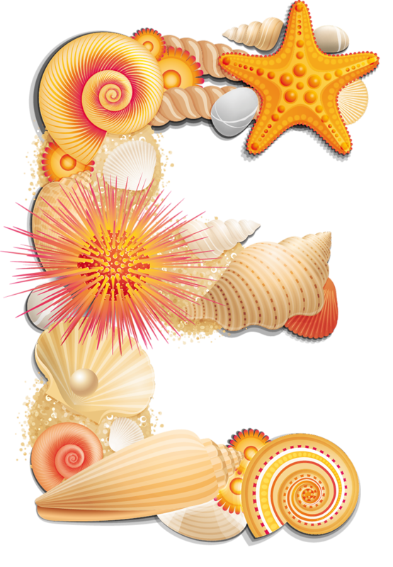 letter clipart seashell