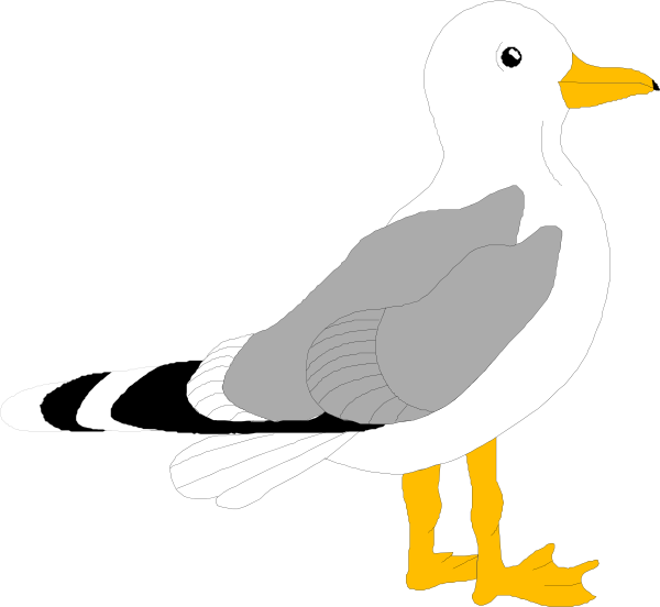 Seagull craft template google. Clipart beach bird