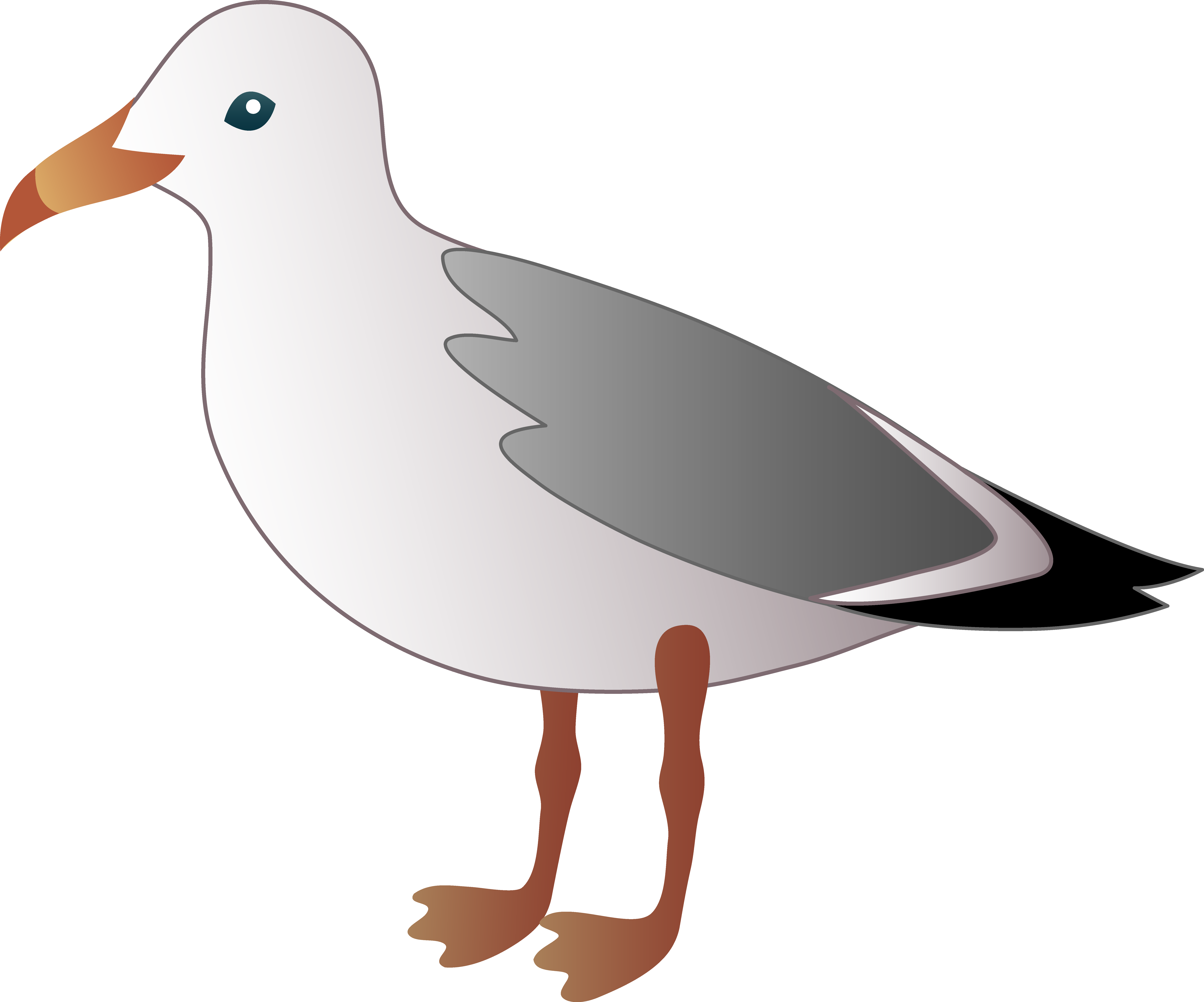 Clipground flyijg clip art. Clipart beach bird