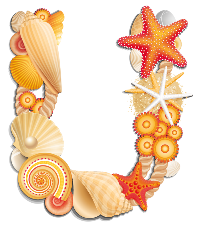letters clipart seashell