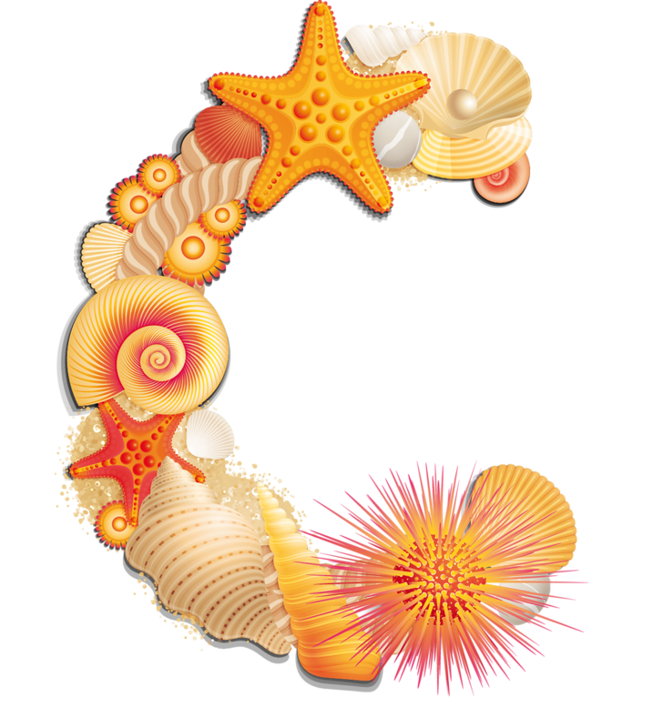 shell clipart pastel