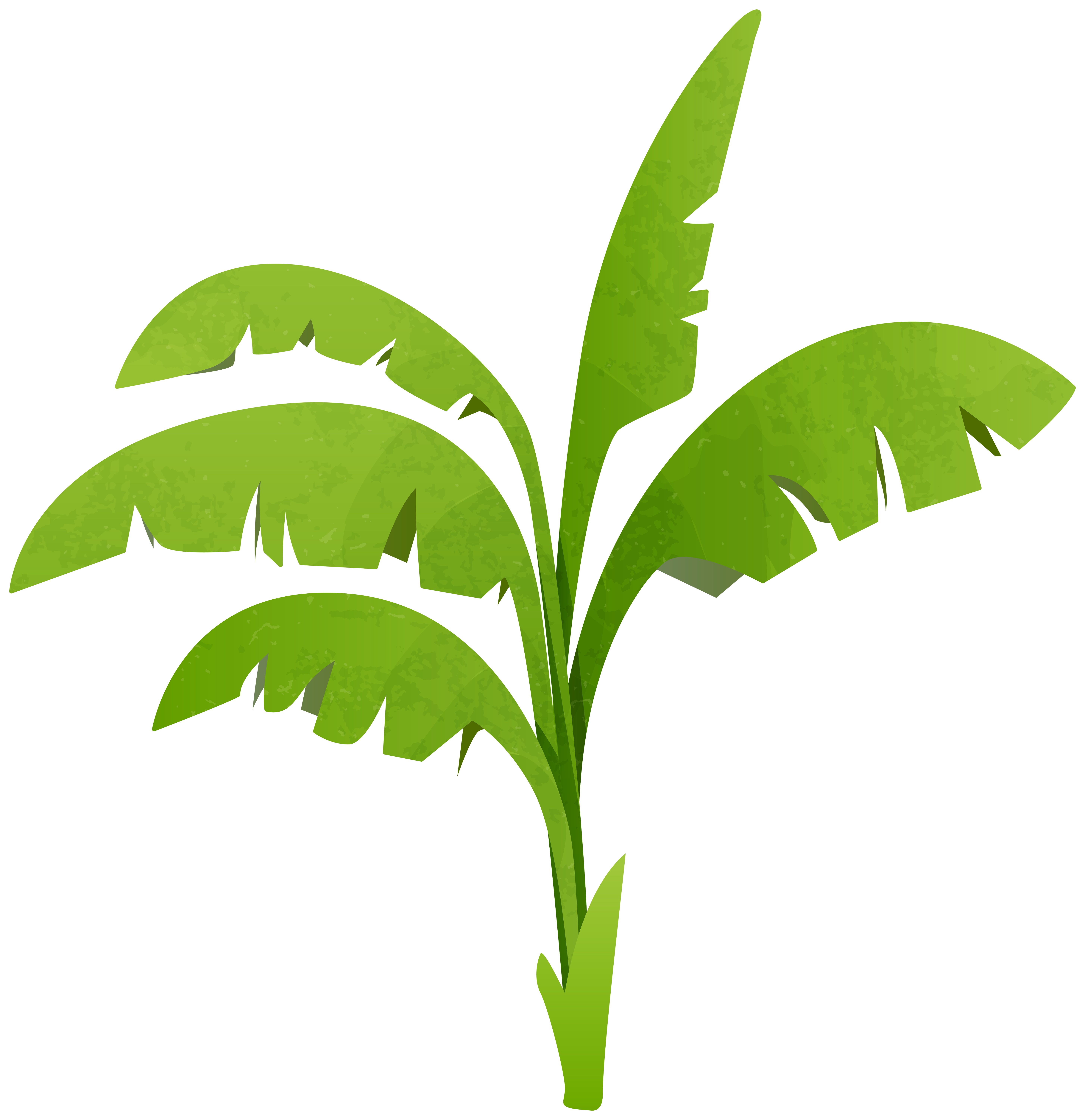 Clipart png plant. Green transparent clip art