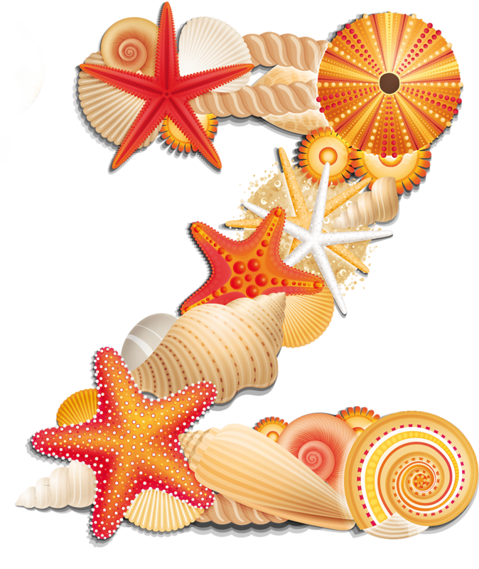 letters clipart seashell