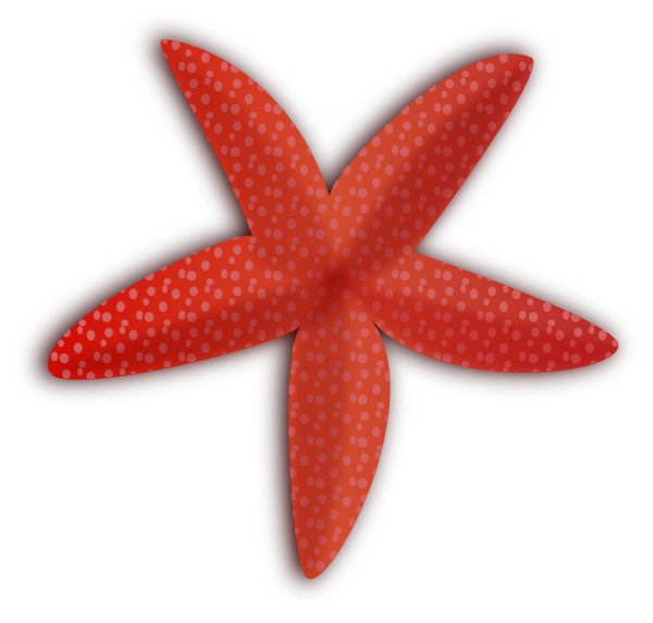 clipart beach starfish