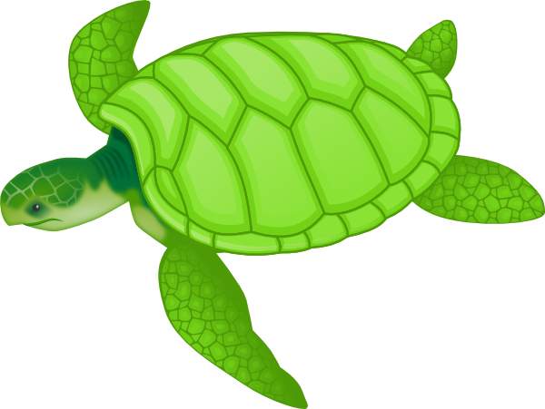 Sea clipartpost . Clipart turtle design