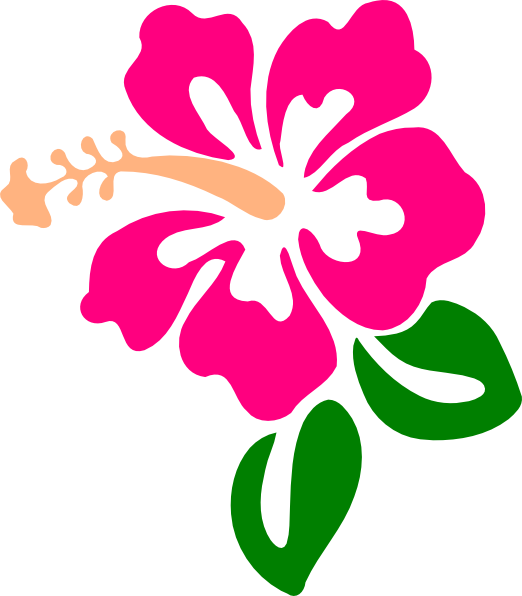Hibiscus clip art at. Flowers clipart face