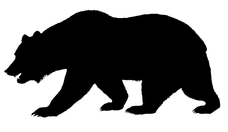 head clipart grizzly