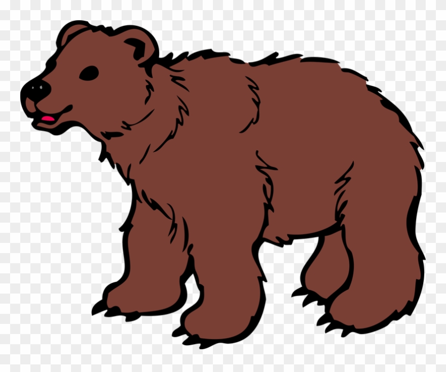 Png download . Clipart bear brown bear