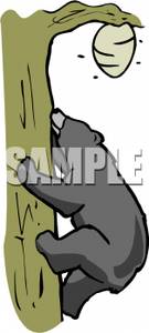 clipart bear climbing
