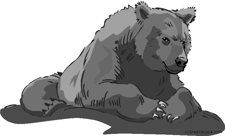 clipart bear grizzly bear