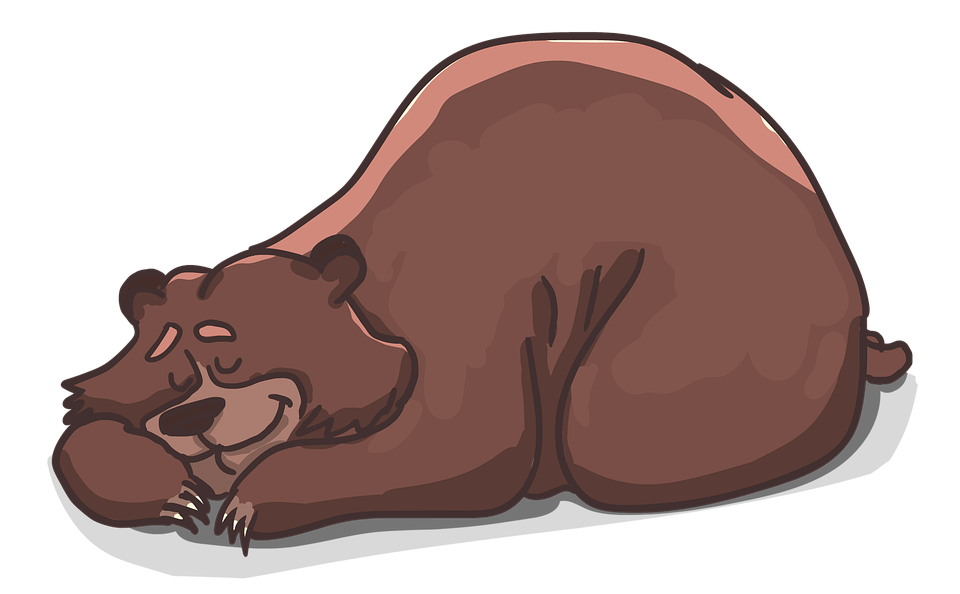 Bear images cartoon desktop. Sleeping clipart healthy sleep