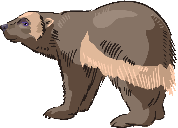 Free. Bear clipart sloth bear