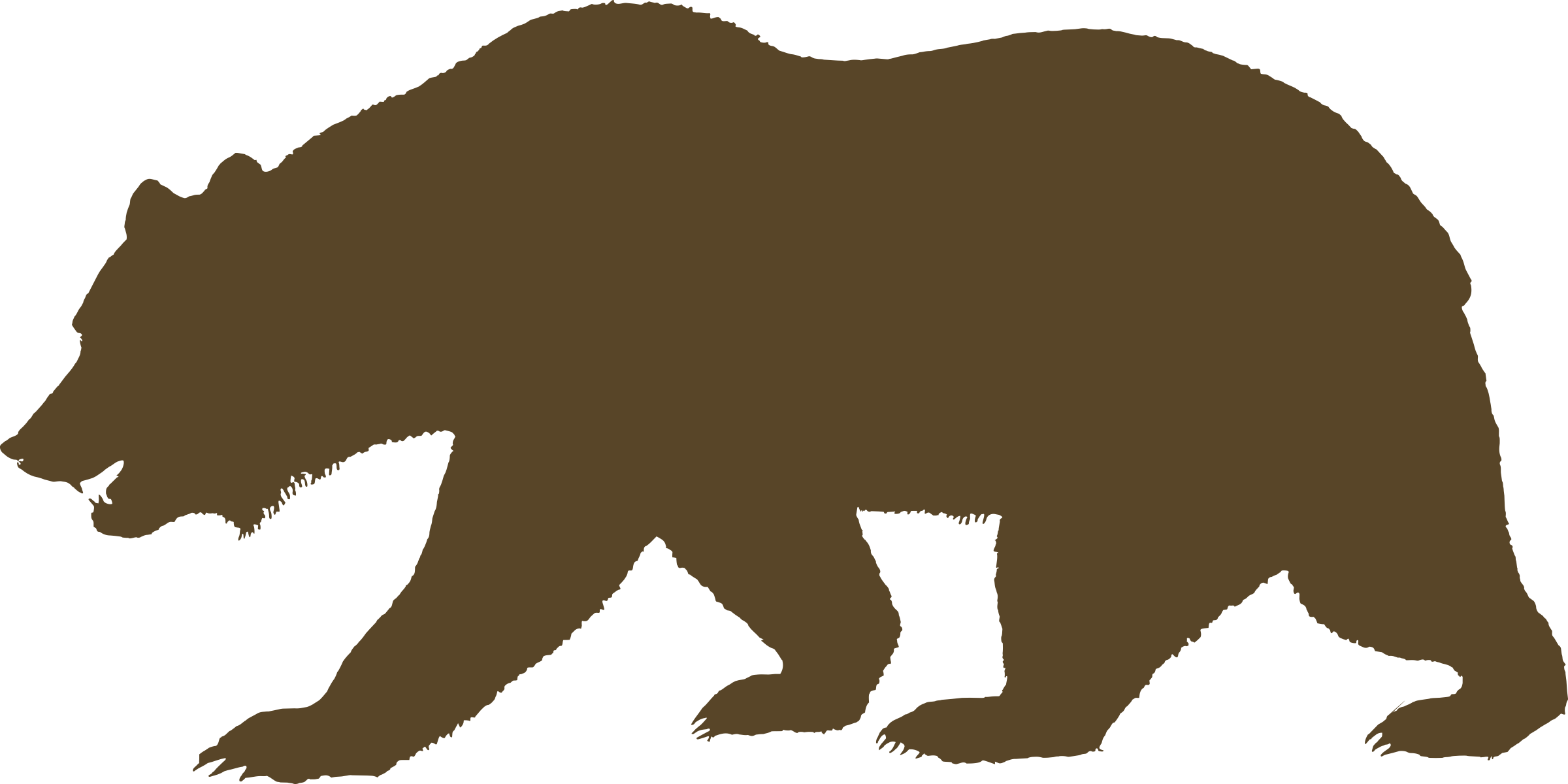 clipart bear vector