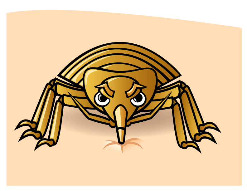 insects clipart bed bug