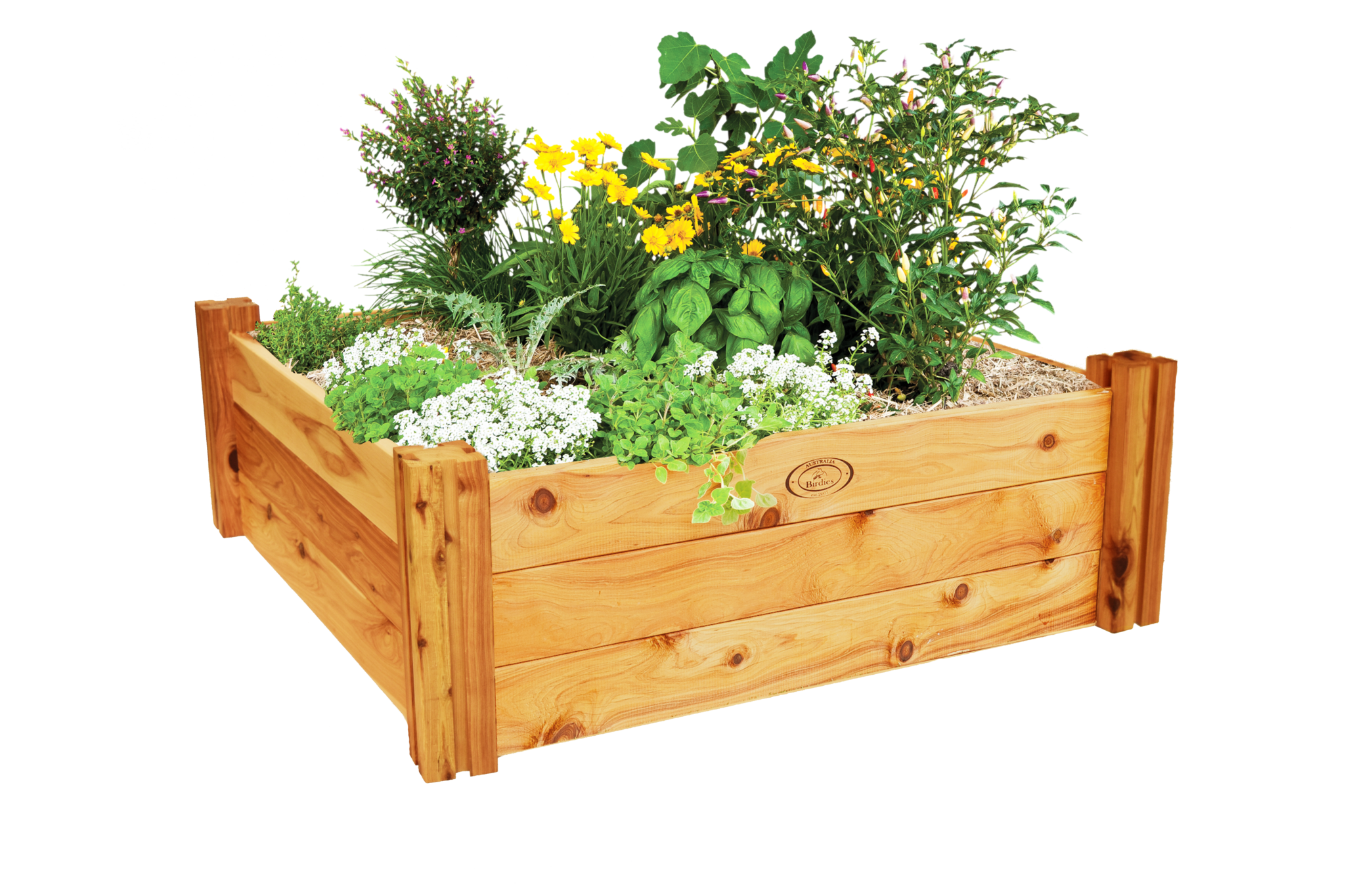 fence clipart planter box
