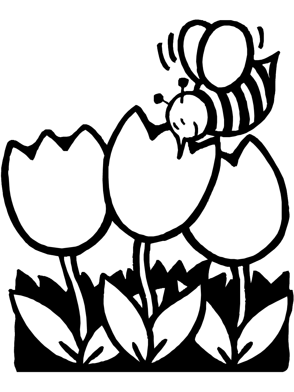 Spring coloring sheets . Clipart bee easy