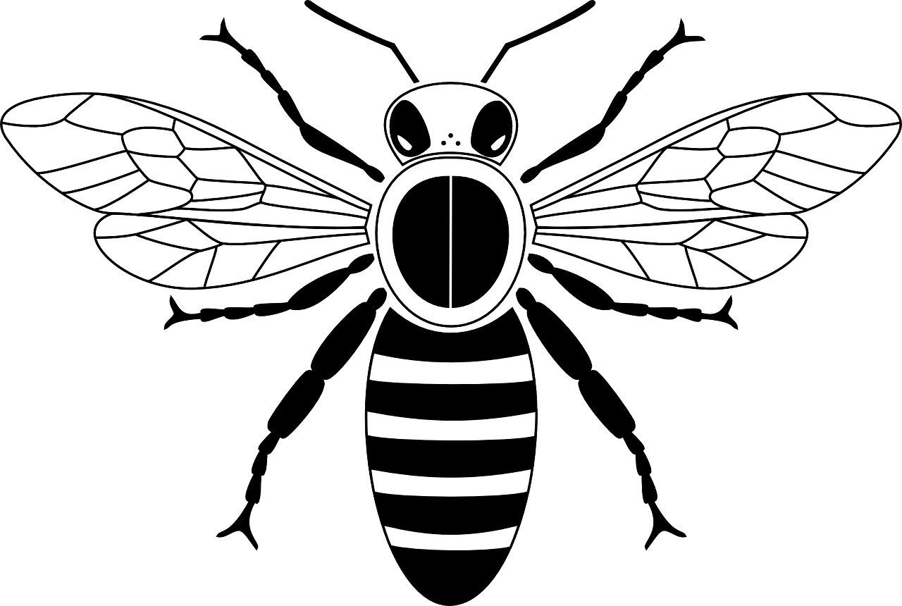 Drawing beehive clip art. Clipart bee honey bee