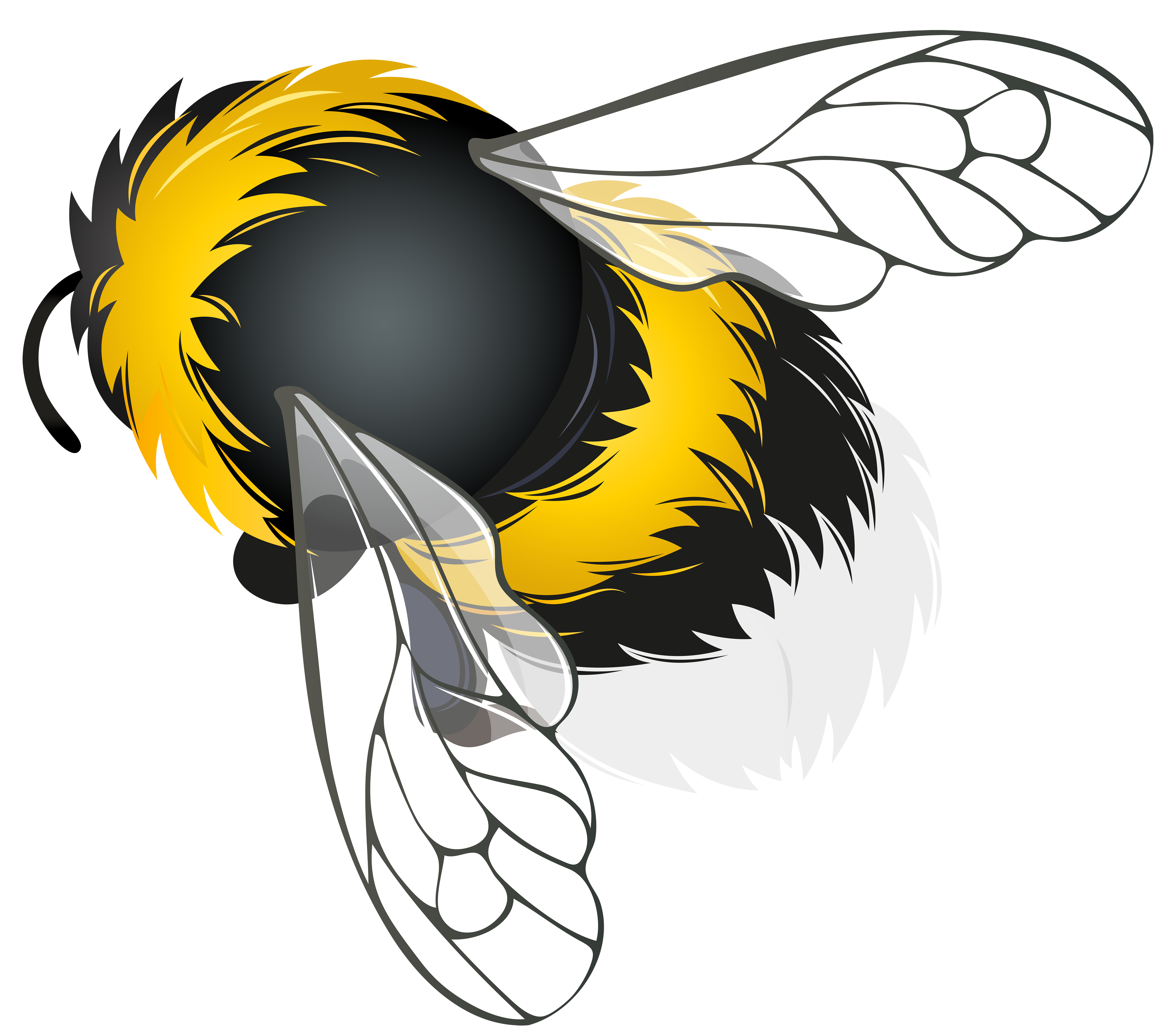 Tall clipart realistic. Bee png best web
