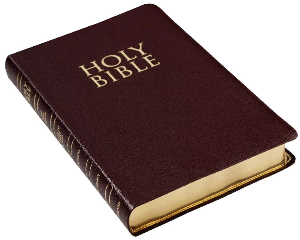 clipart bible open book