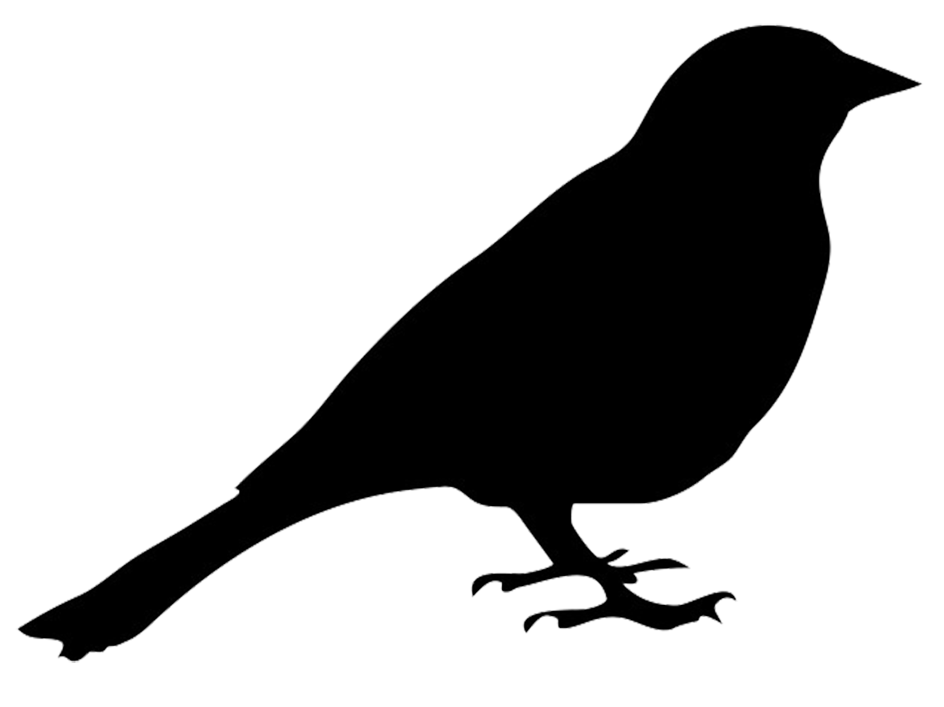 Pigeon clipart silhouette. Flying bird at getdrawings