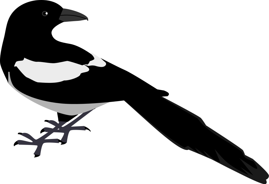 clipart bird black and white