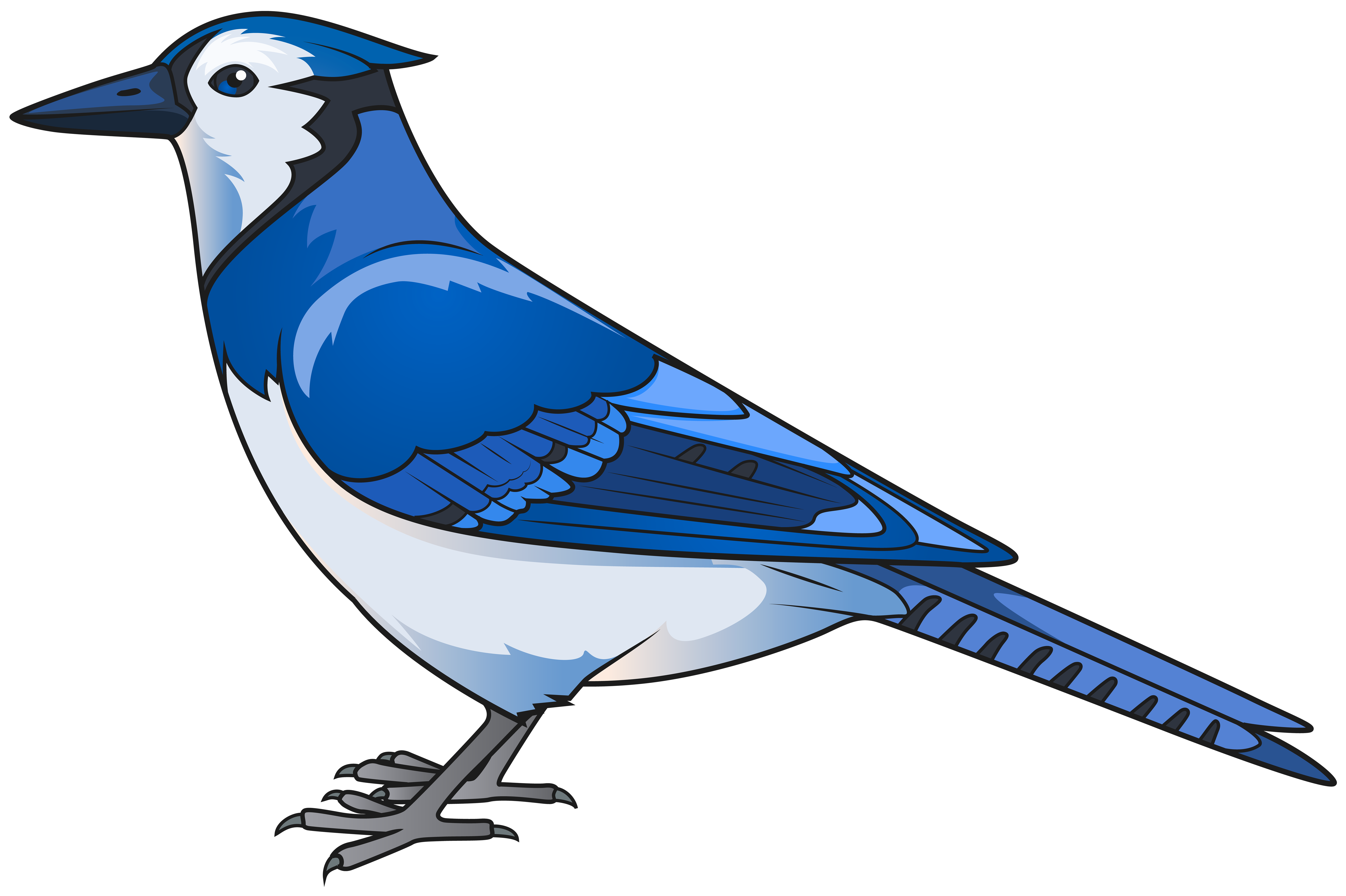 clipart bird blue