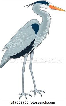 clipart bird blue heron